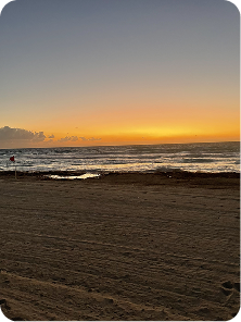 Puerto Rico · 2024